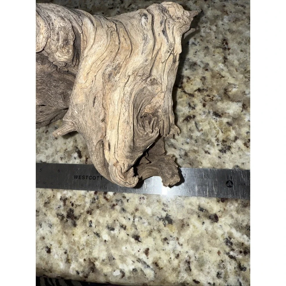 Driftwood‎ taxidermy log super super cool pieceThis very old. Flower arrangement
